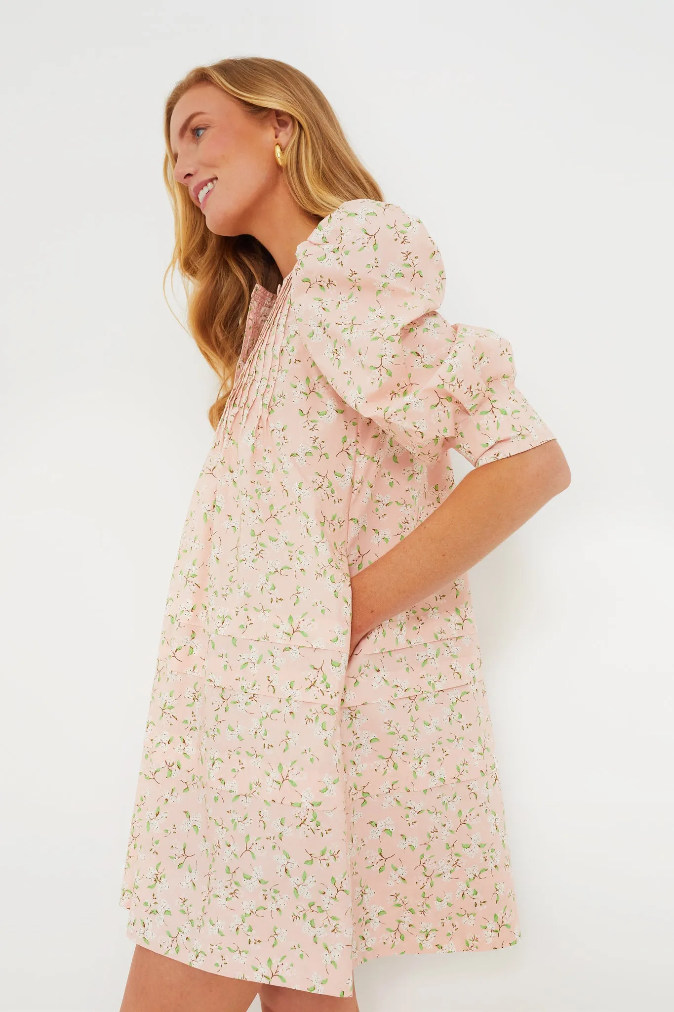 Meadow Sidney Dress