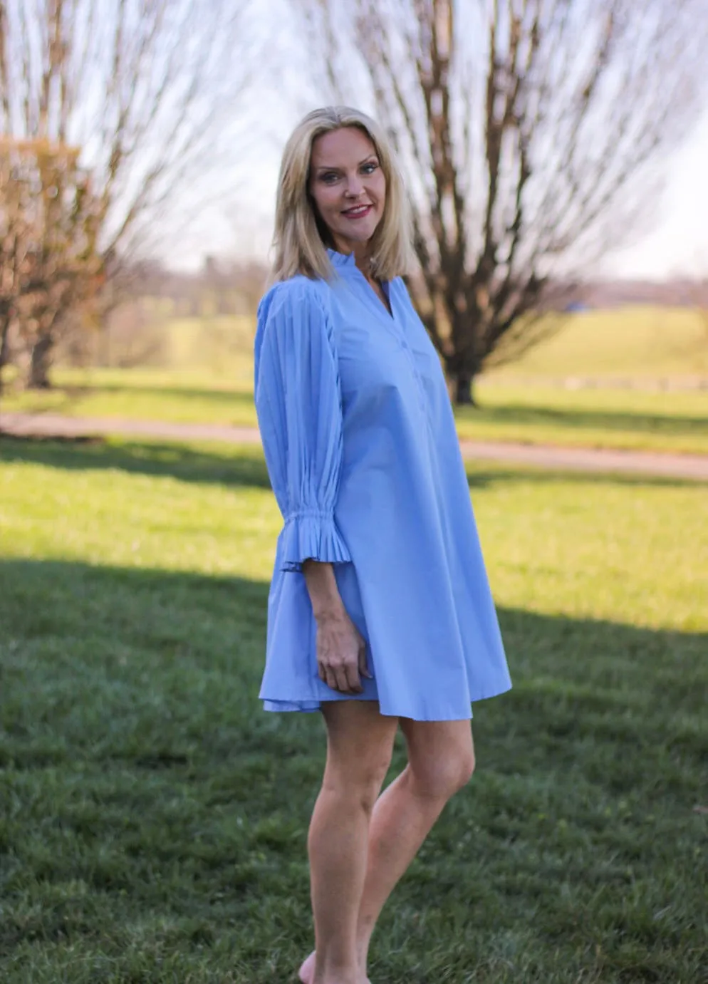Sophisticated Shirt Dress